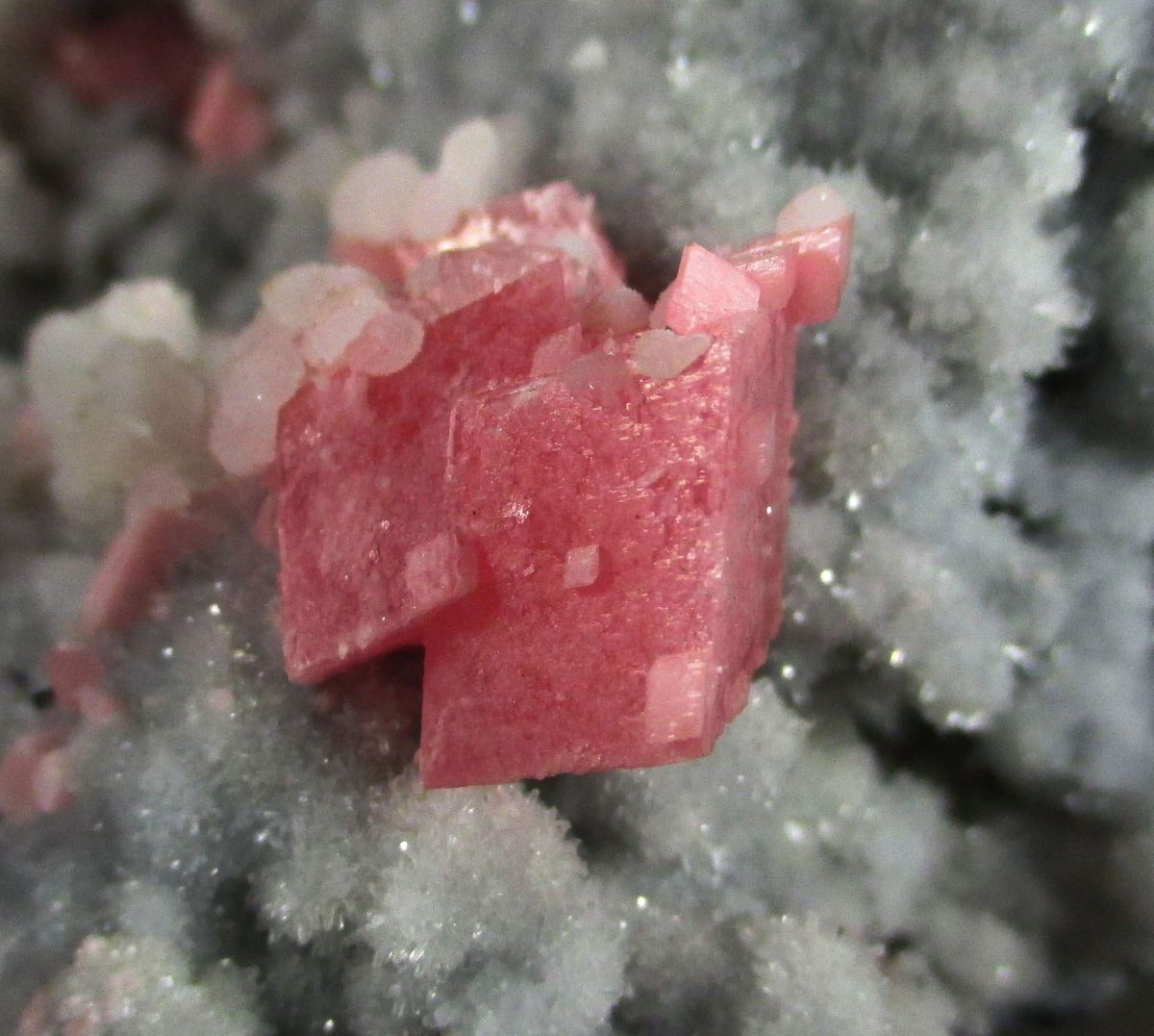 Rhodochrosite Chalcopyrite & Calcite On Quartz
