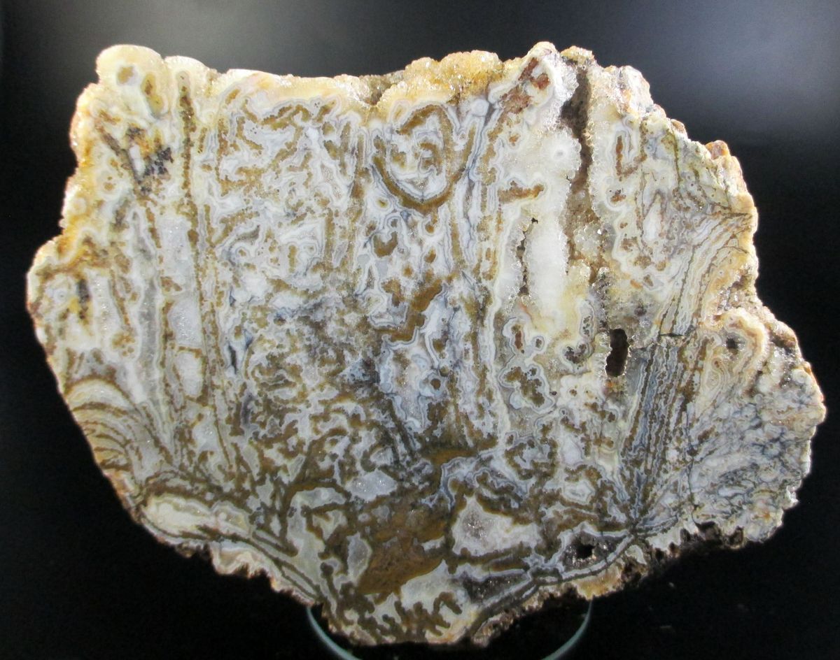 Agate Chalcedony Quartz Psm Fossil Stromatolite & Hematite