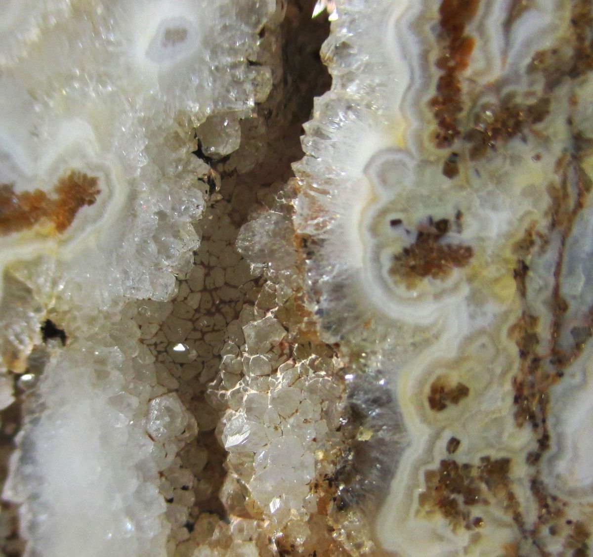 Agate Chalcedony Quartz Psm Fossil Stromatolite & Hematite