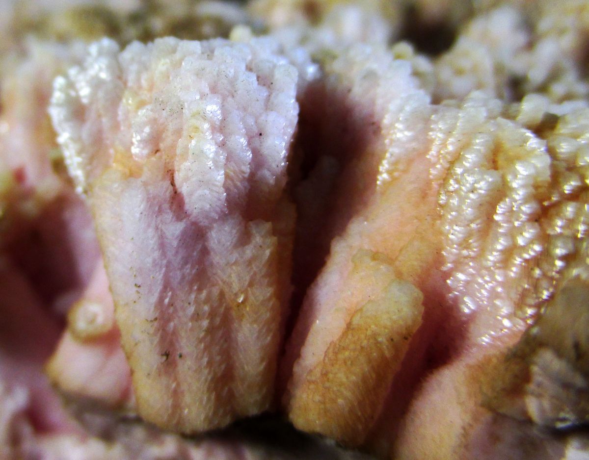 Rhodochrosite