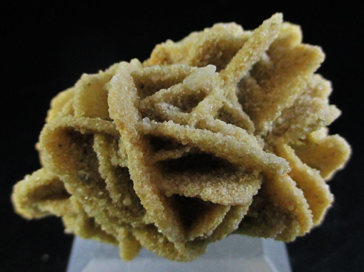 Baryte Var Desert Rose