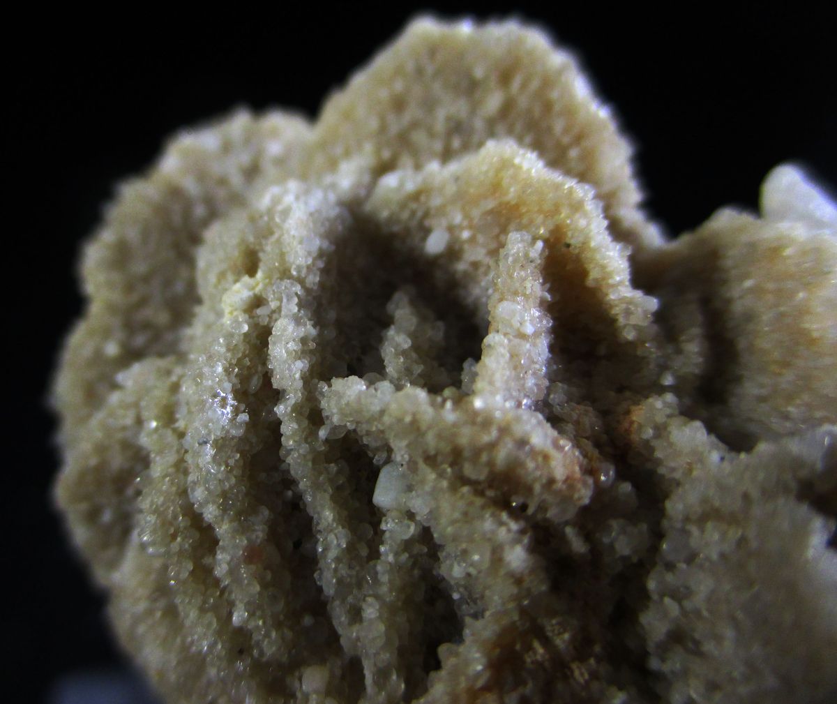 Baryte Var Desert Rose