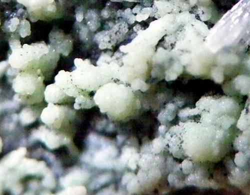 Nickeltalmessite & Picropharmacolite