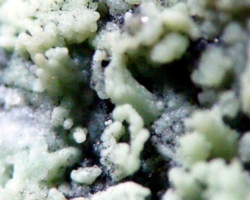 Nickeltalmessite & Picropharmacolite