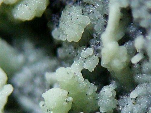 Nickeltalmessite & Picropharmacolite