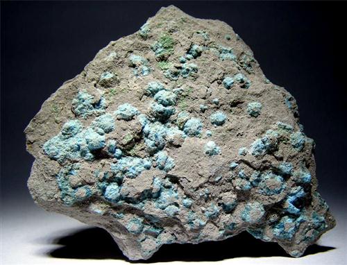 Metatorbernite & Chalcanthite