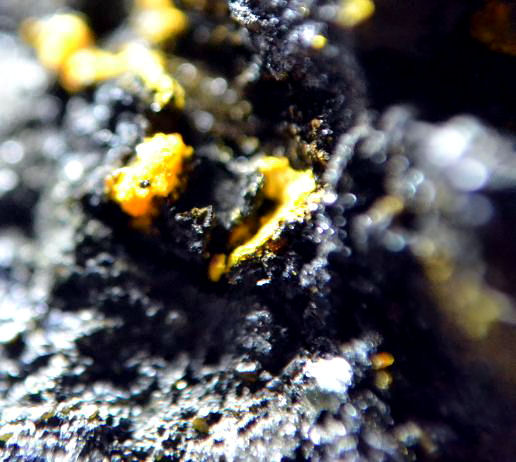 Nolanite & Pascoite