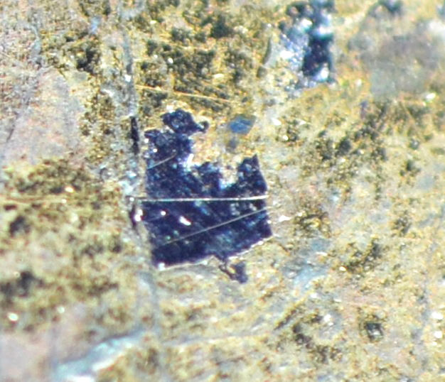 Stannopalladinite Rustenburgite & Tetraferroplatinum