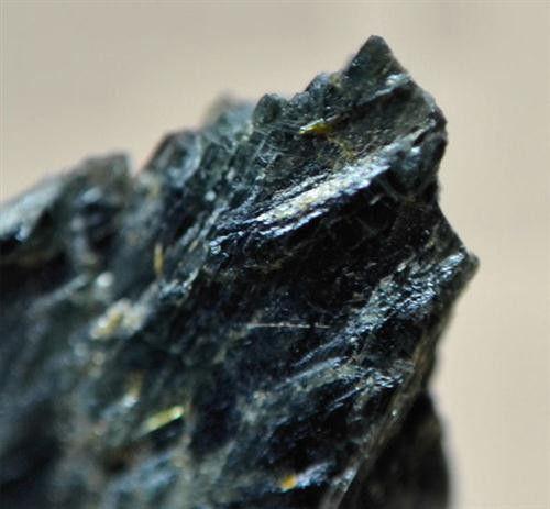 Ferri-winchite