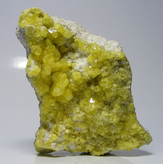 Native Sulphur