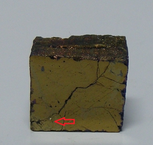 Paolovite Altaite & Mooihoekite