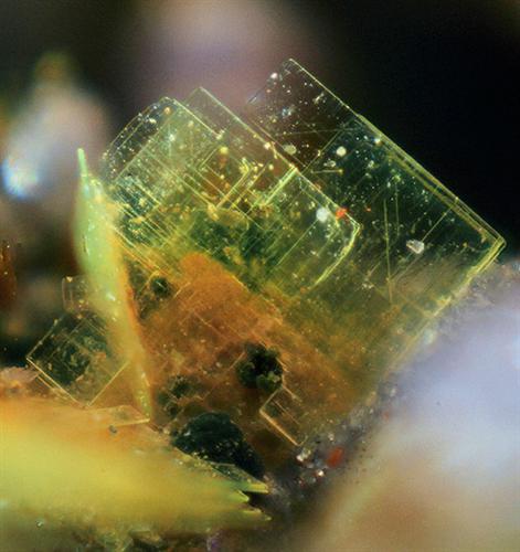 Autunite On Strengite