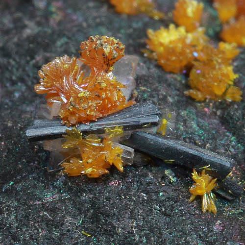 Hutchinsonite Orpiment & Baryte