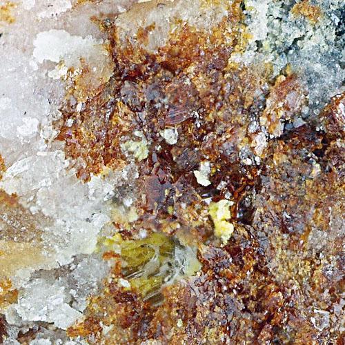 Kolicite