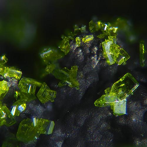 Molybdofornacite