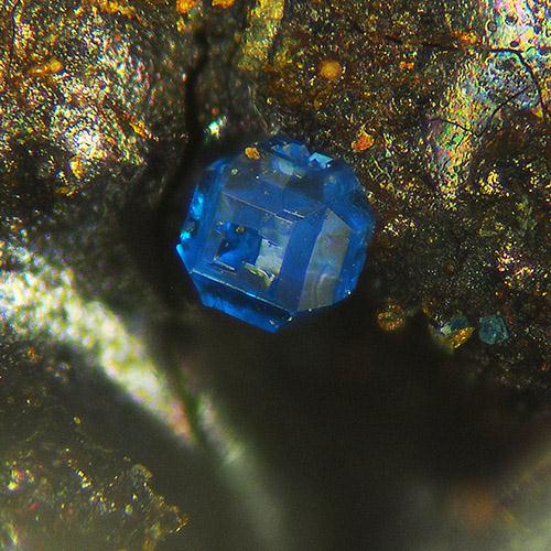 Pseudoboleite