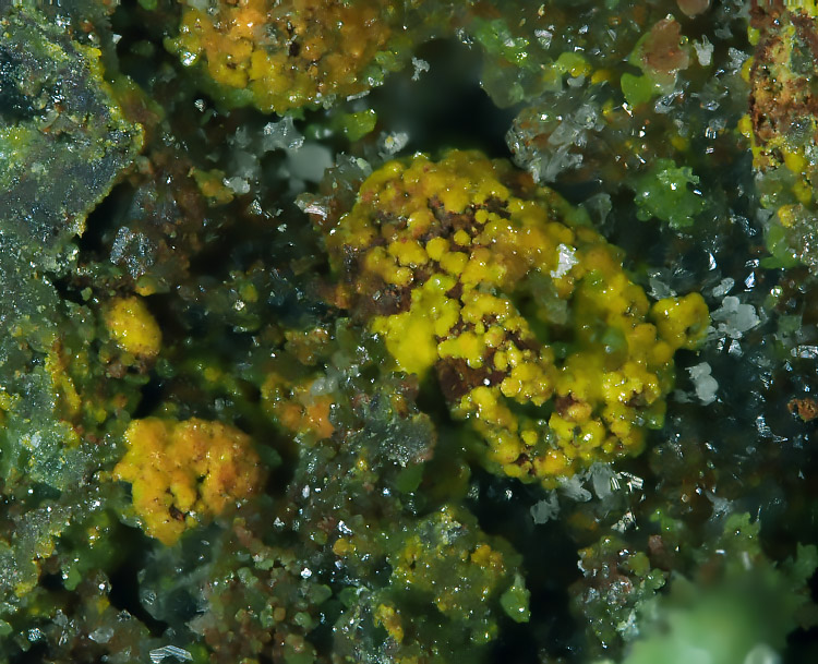 Gartrellite