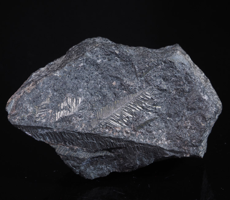 Native Bismuth