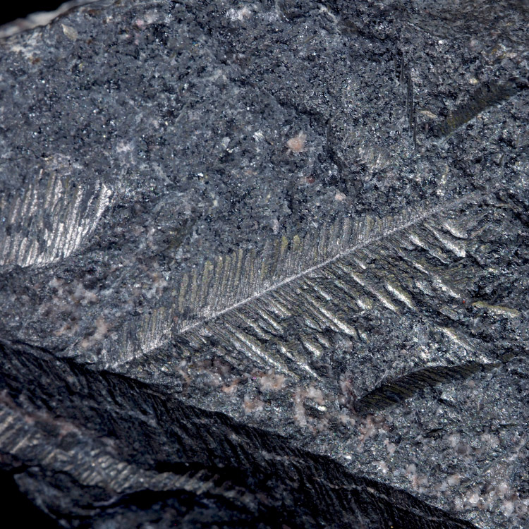 Native Bismuth