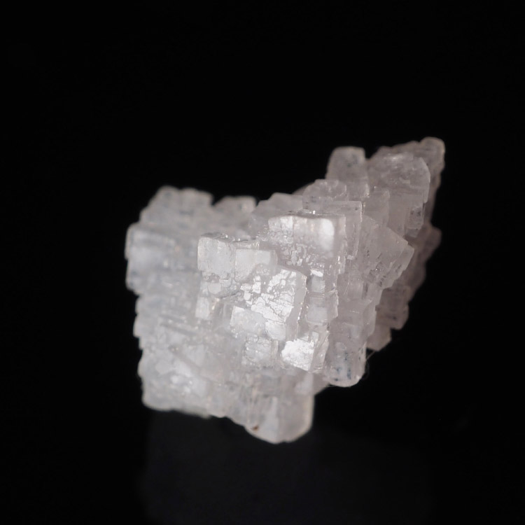 Antarcticite In Halite