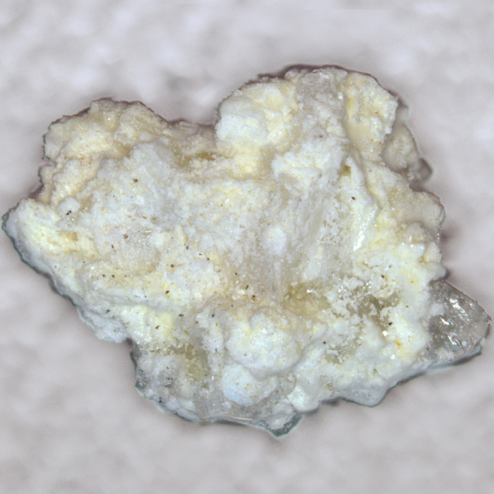 Feinglosite