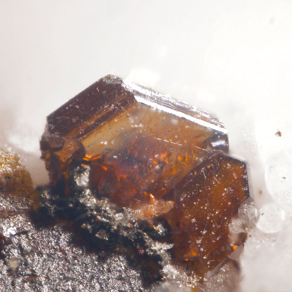 Xanthoconite