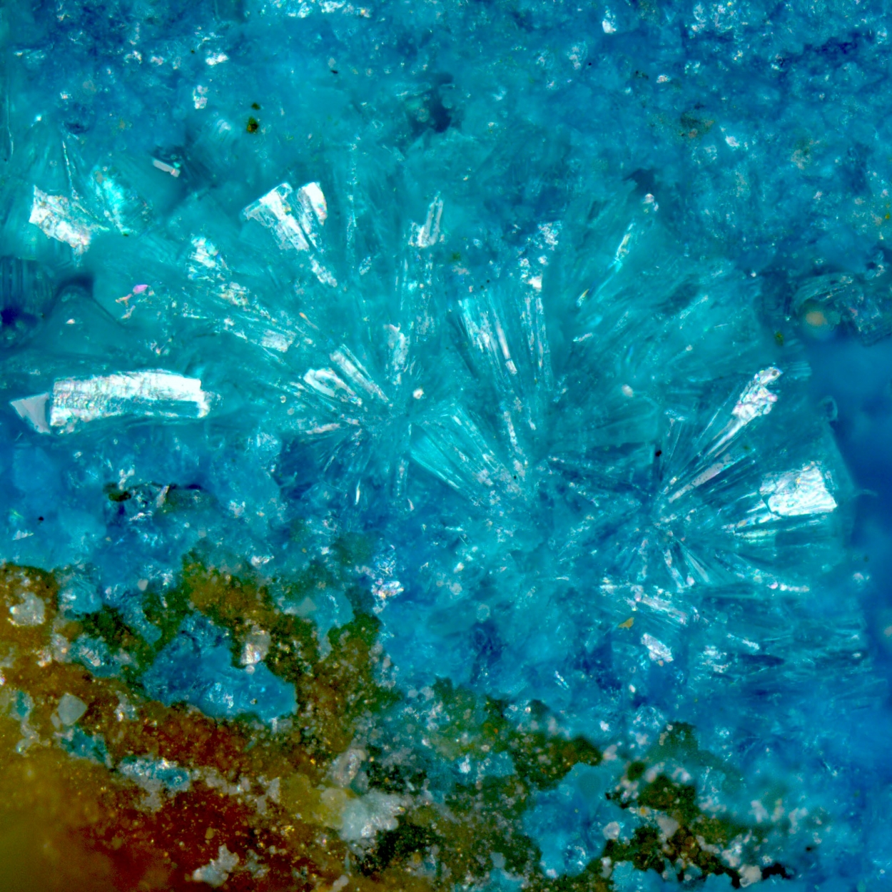 Tangdanite & Claraite