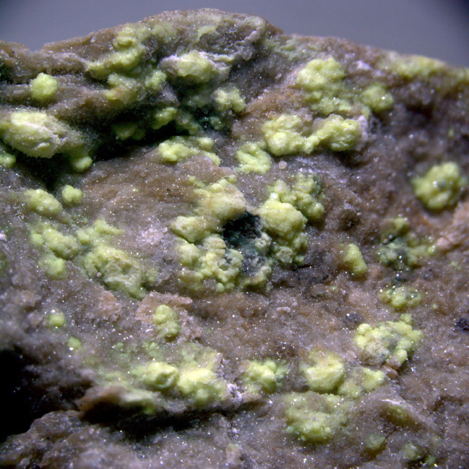 Andersonite