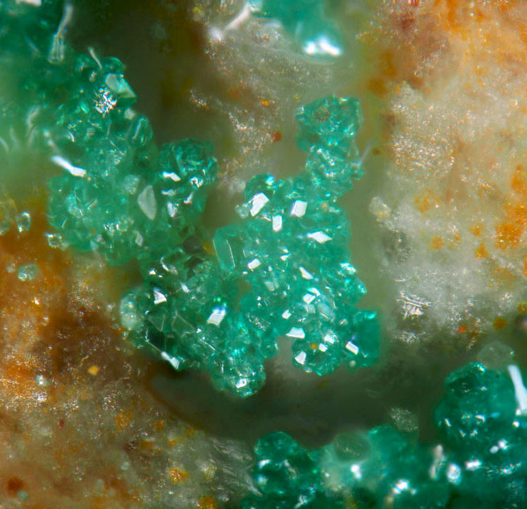 Clinoatacamite