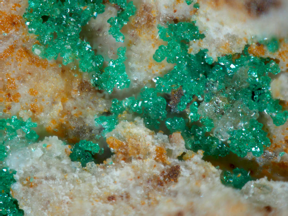 Clinoatacamite