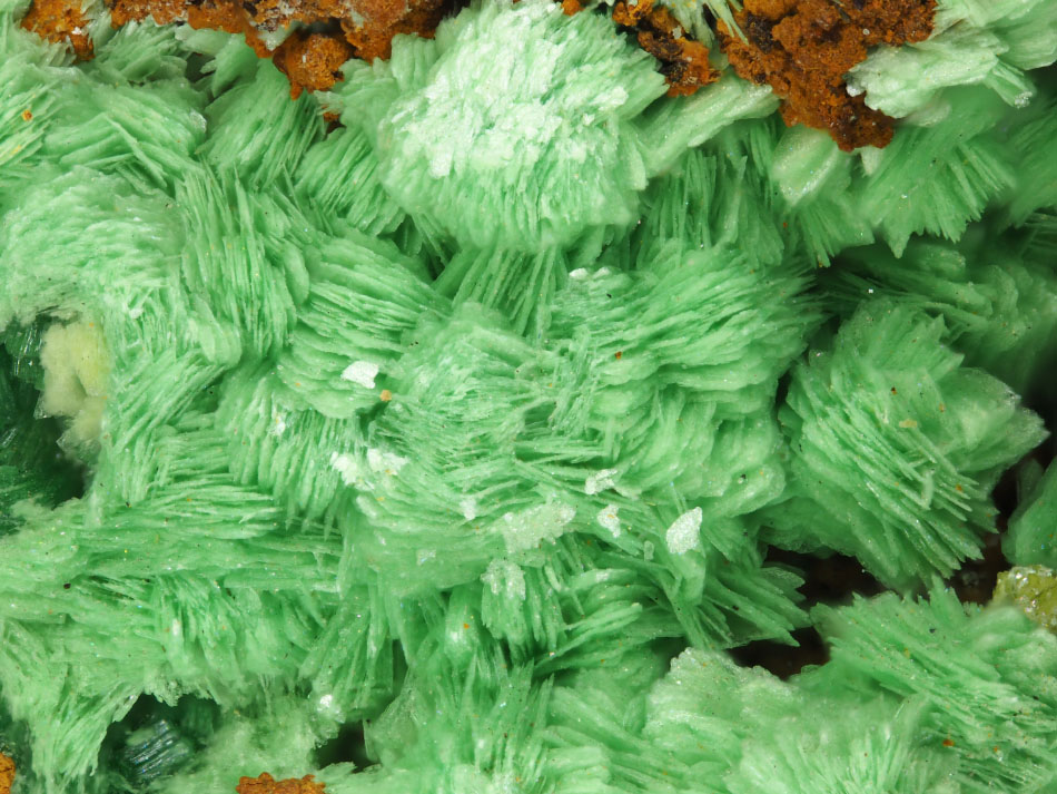 Metazeunerite