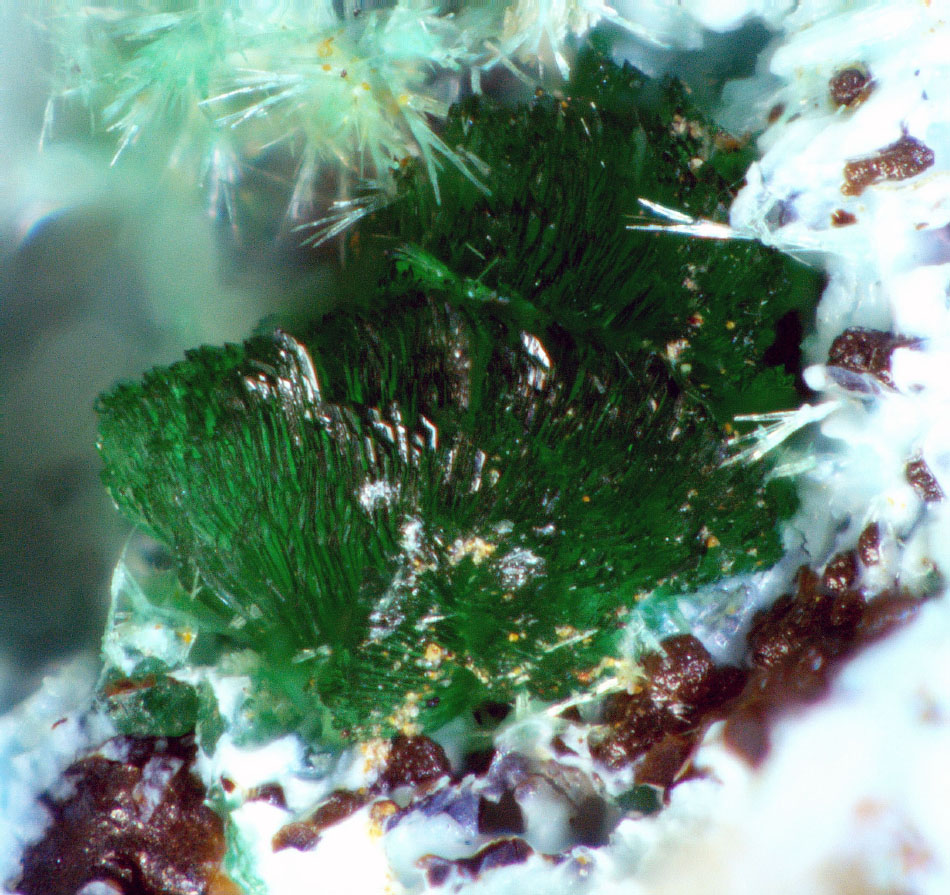 Philipsburgite