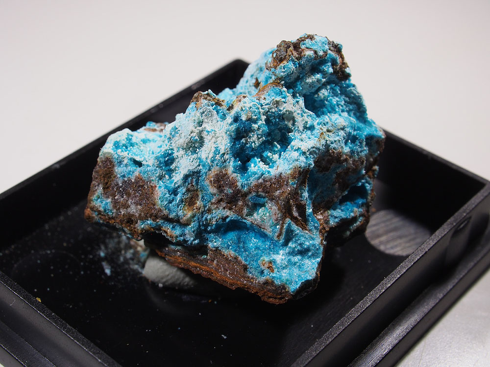 Zincowoodwardite & Serpierite