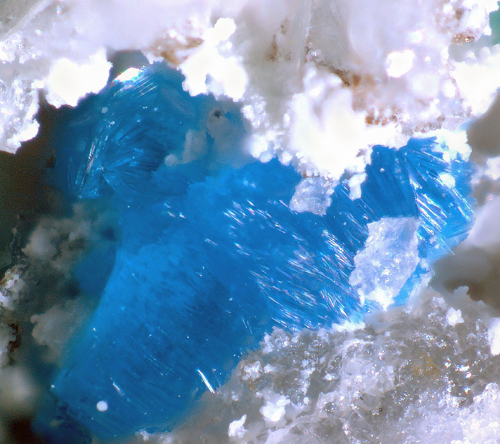 Lammerite