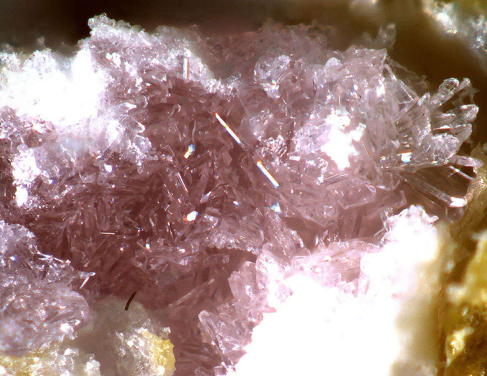 Magnesiokoritnigite