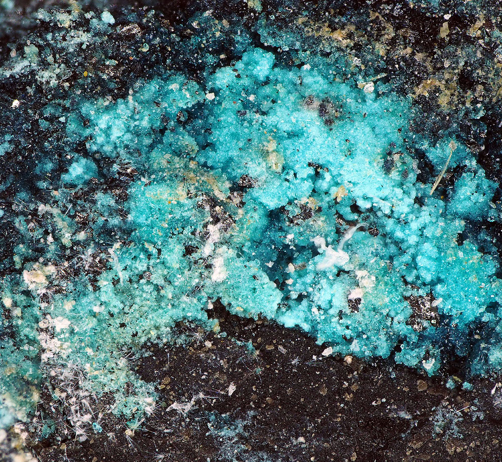 Chalconatronite & Lecoqite-(Y)