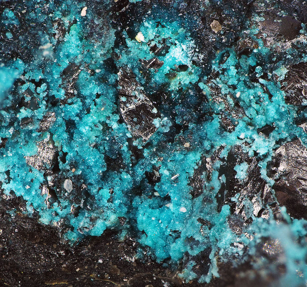 Chalconatronite & Lecoqite-(Y)