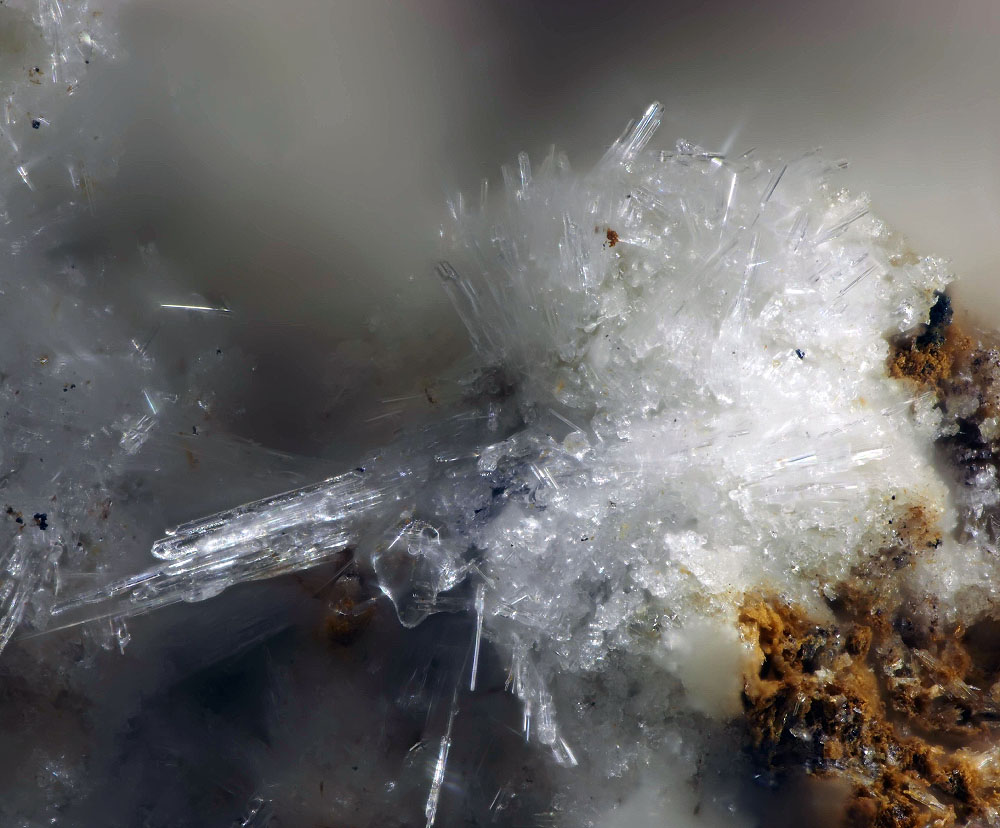 Fluoborite