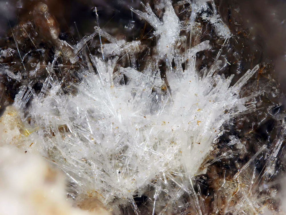 Fluoborite