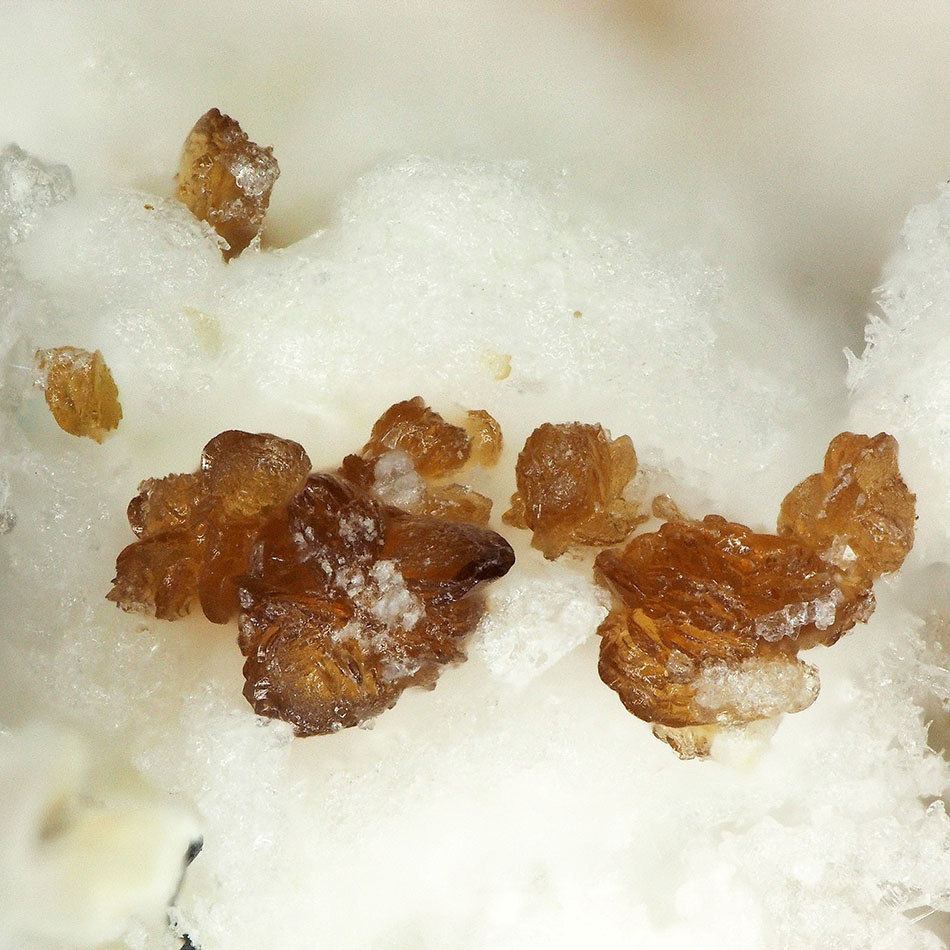 Magnesiocanutite