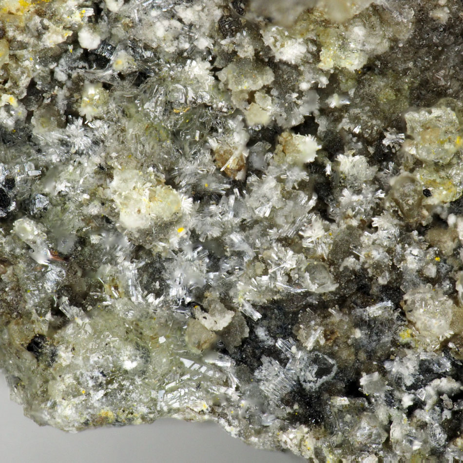 Calciodelrioite