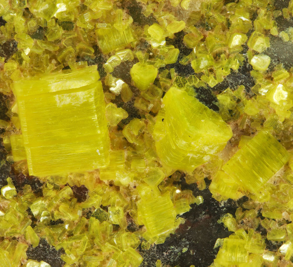 Autunite