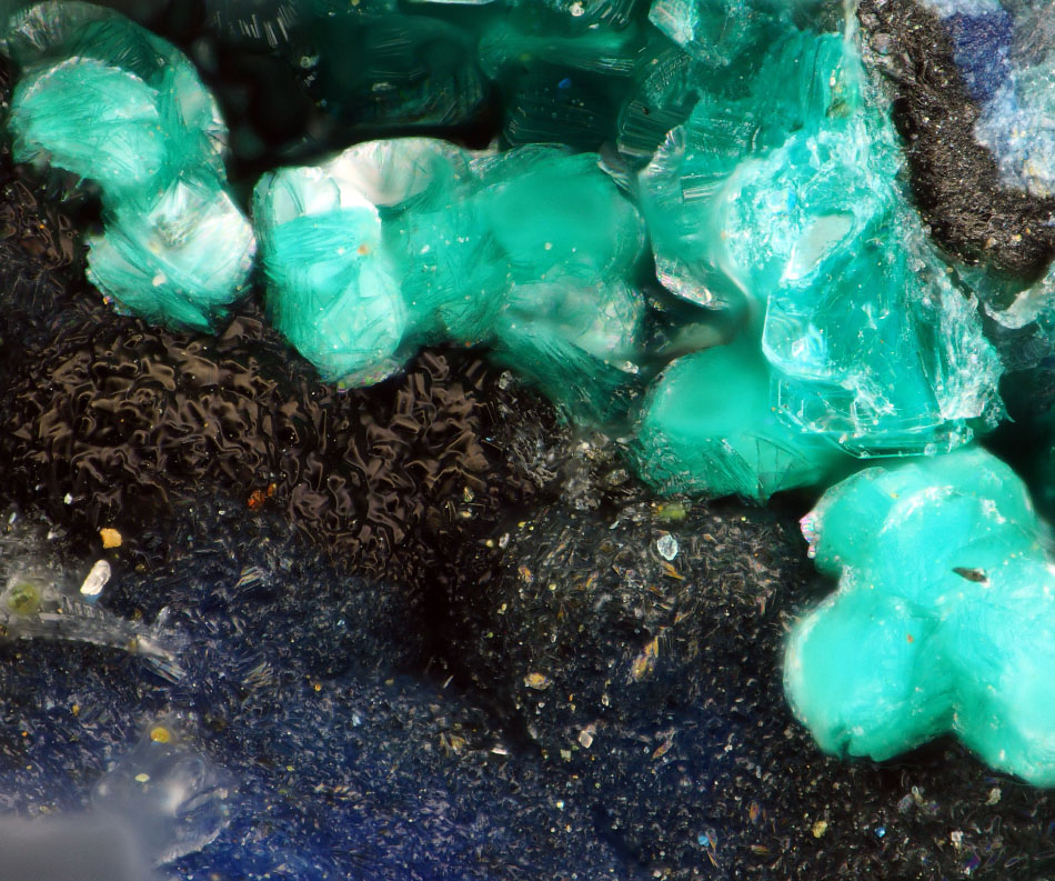 Theisite & Olivenite