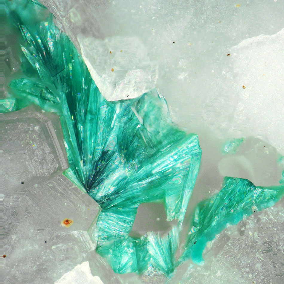 Eurekadumpite