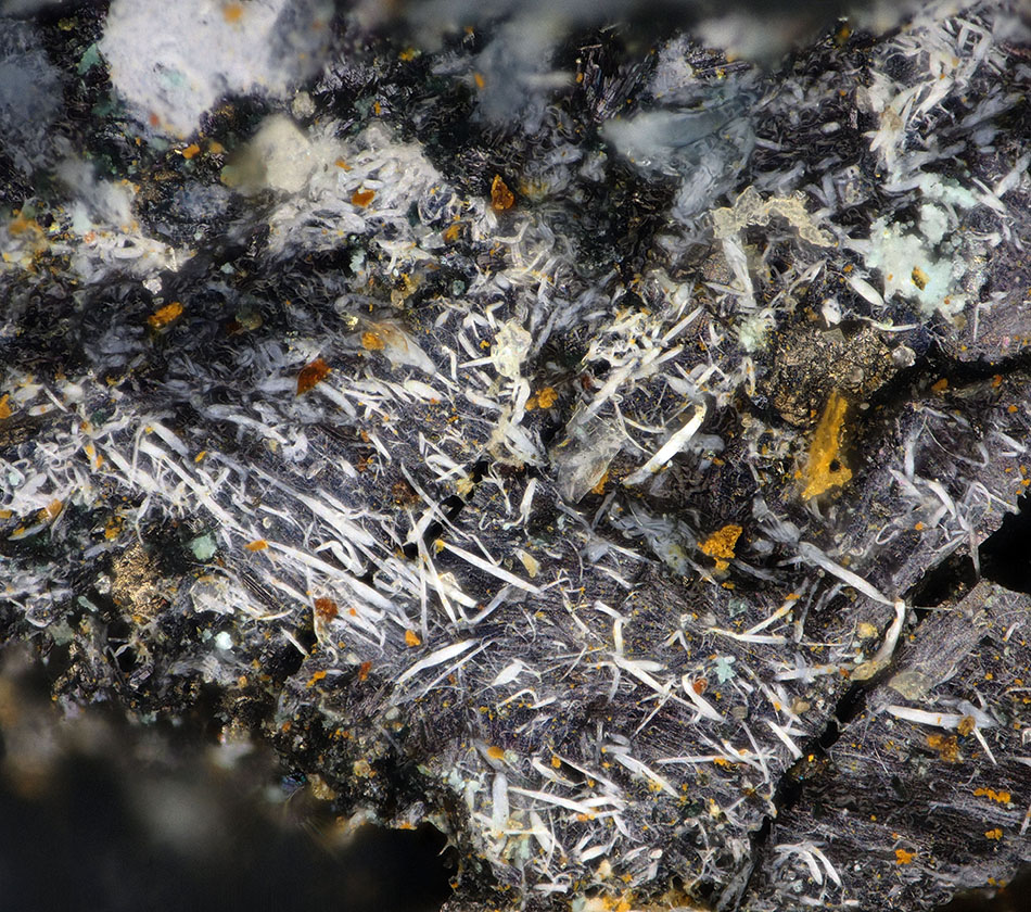 Tavagnascoite