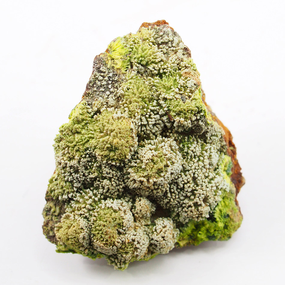 Hidalgoite On Pyromorphite