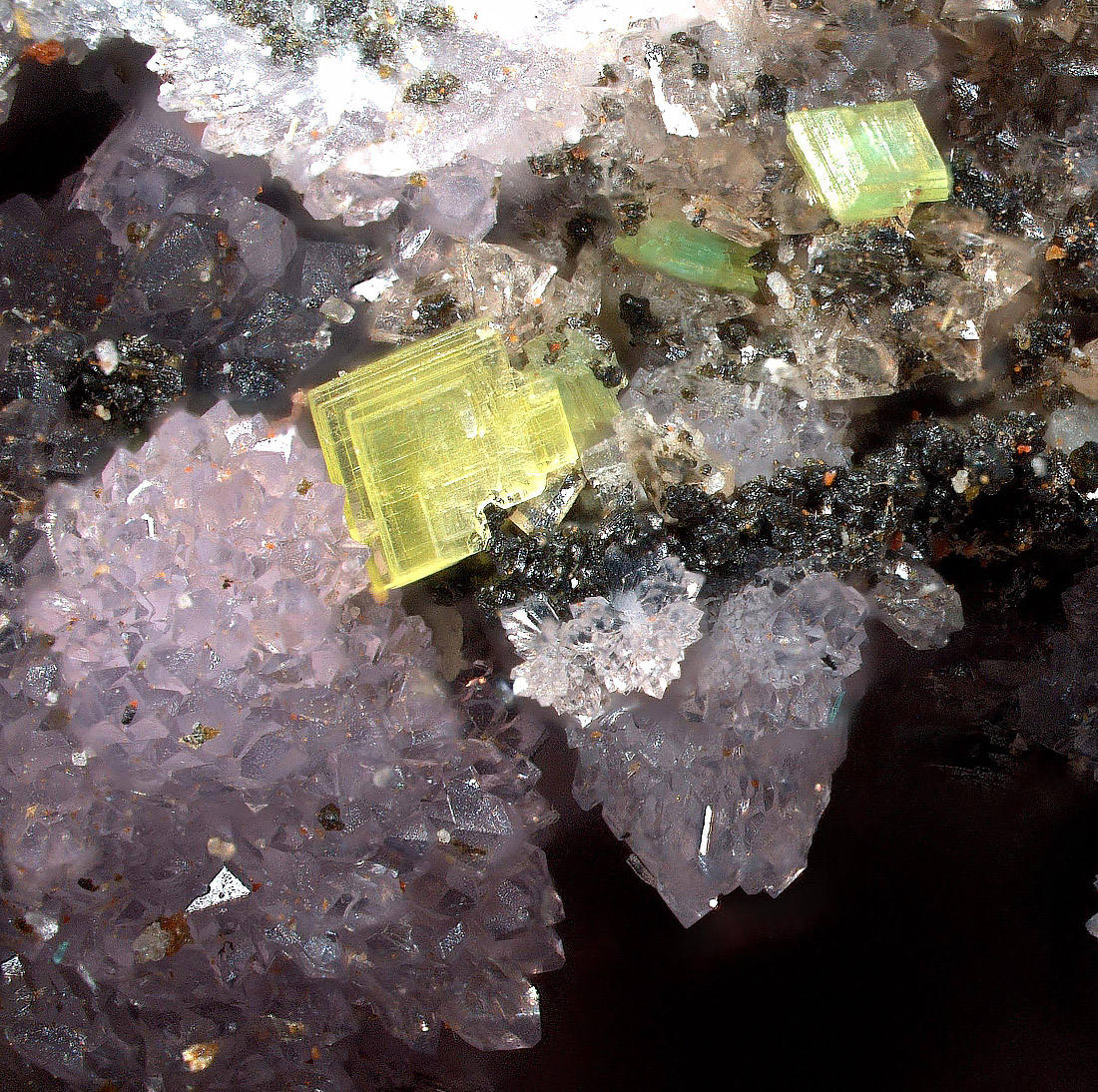 Autunite & Strengite