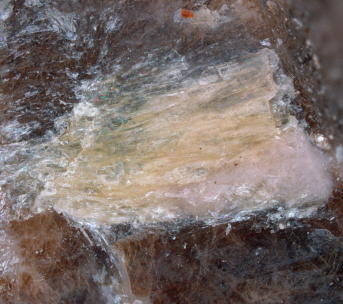 Bornemanite