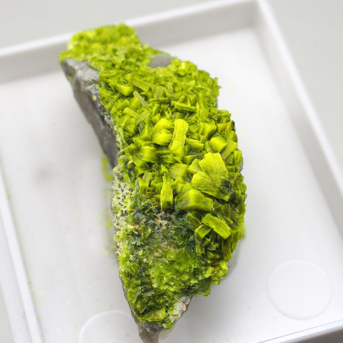 Autunite