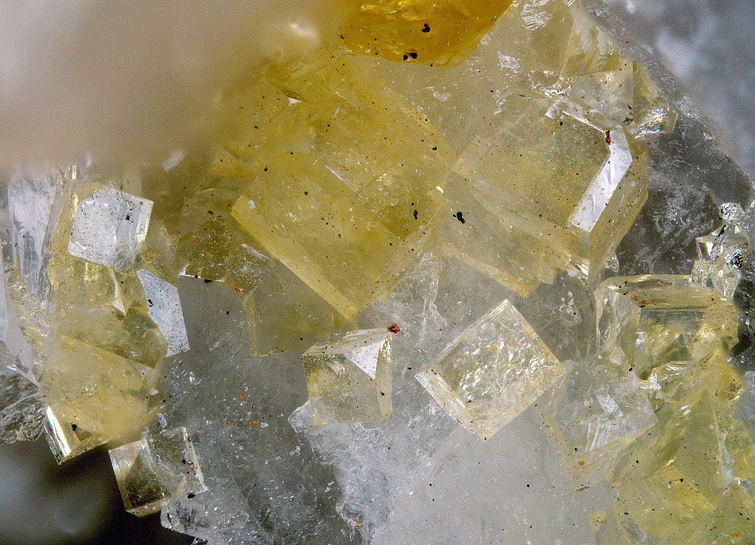 Hidalgoite & Adamite